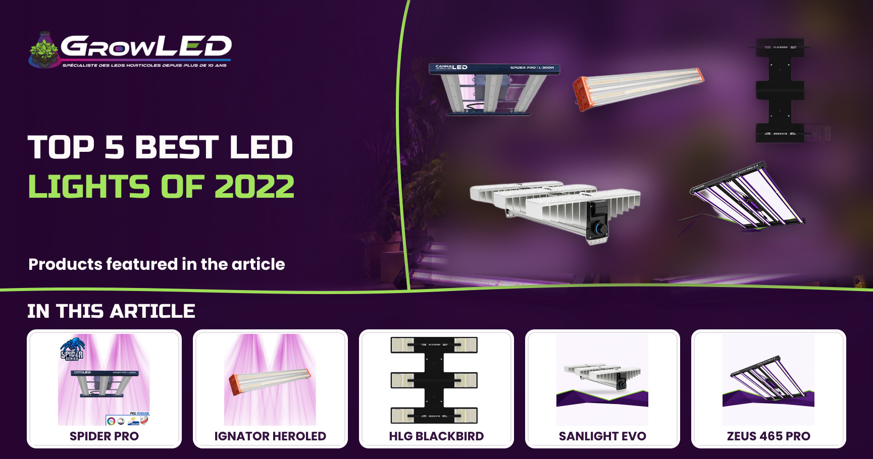 Top 5 best LED lights of 2022