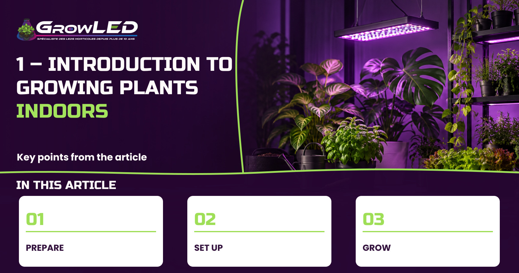 1 – Introduction to growing plants indoors 1 – Introduction to growing plants indoors