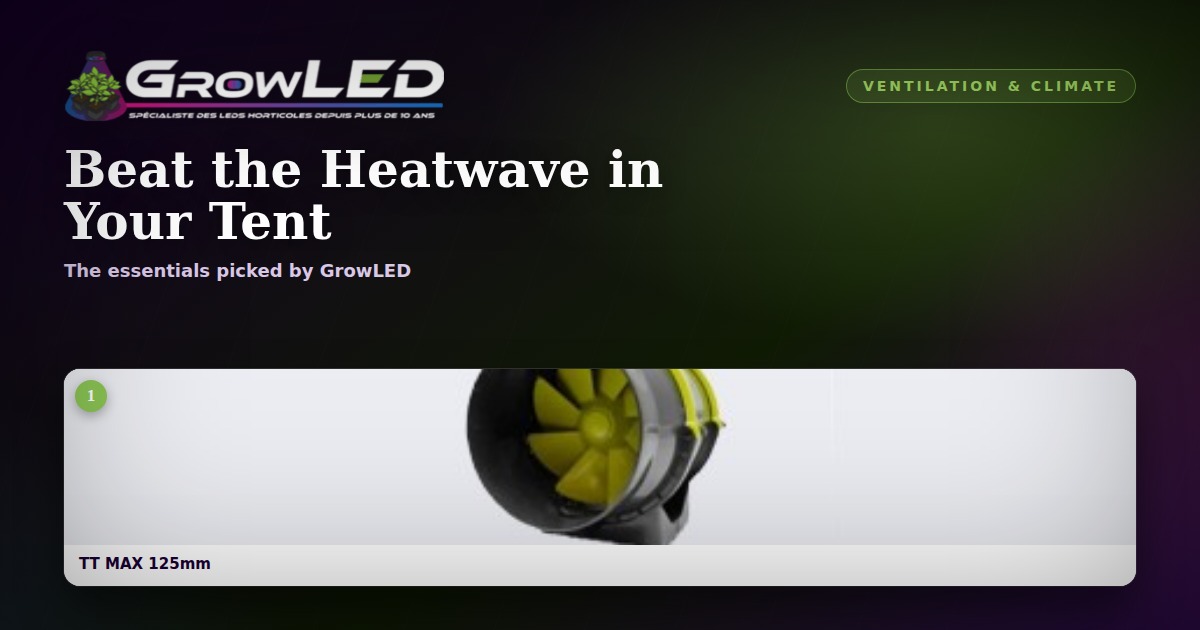 Heatwave in the Tent: 5 Reflexes to Protect Your Plants from the Heat