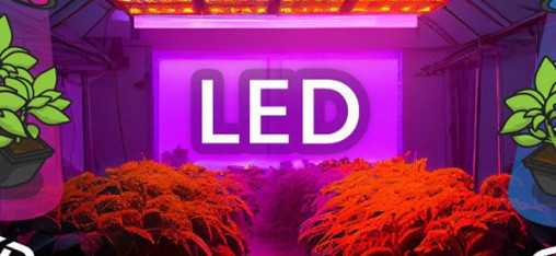 Why choose an LED horticultural lamp in 2023? Why choose an LED horticultural lamp in 2023?