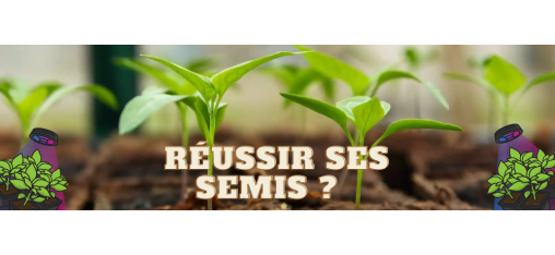 What materials are needed for successful indoor growing?