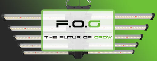 Future of Grow (F.O.G): Swiss LED horticultural lighting arrives on GrowLED Future of Grow (F.O.G): Swiss LED horticultural lighting arrives on GrowLED